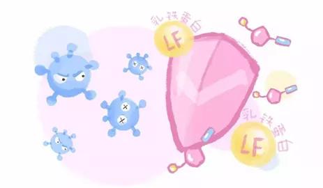 含乳铁蛋白的奶粉对宝宝好吗,这篇文章说清楚了