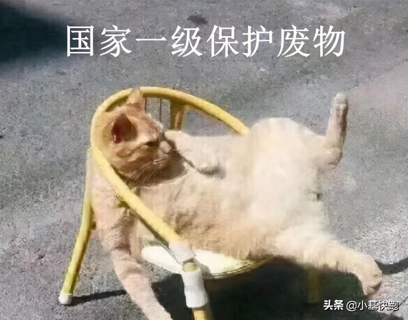 闲鱼卖货的钱为什么到账不能用,闲鱼卖闲置东西是不赚钱的
