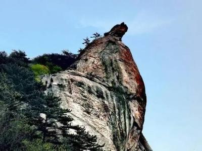 麻城龟峰山风景区,麻城市龟峰山的海拔有多高