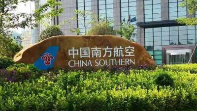 南方航空积分卡怎么在网上查询?