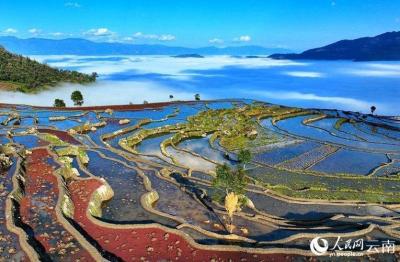 云南红河气候分布区域,云南红河冬天最低气温多少度？