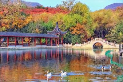 北京上方山国家森林公园值得去吗?北京国家森林公园能采蘑菇嘛？