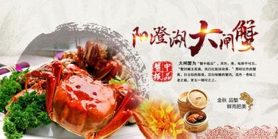 阳澄湖大闸蟹代理,苏蟹阁阳澄湖大闸蟹在重庆有几家店，可以加盟吗