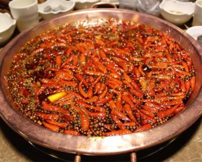 到重庆旅游，你是吃本地红油麻辣火锅，还是鸳鸯锅？为什么