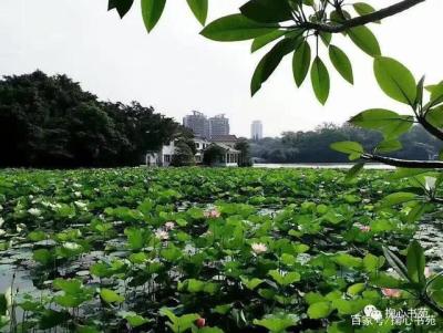 江门荷塘有什么好玩浪漫地方?尾角湾跟下川岛哪里好玩？