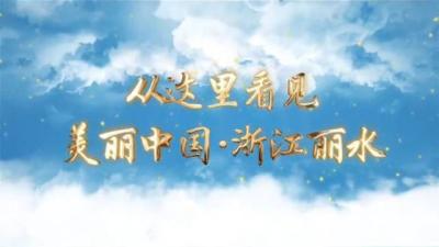 丽水主城区是哪个区?丽水是属于浙江省地区的吗？