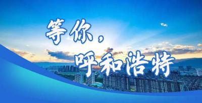 呼和浩特市人口,呼市是几线城市？人口有多少