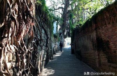 去厦门必游的八大景点都是哪里,厦门必去的八大景点