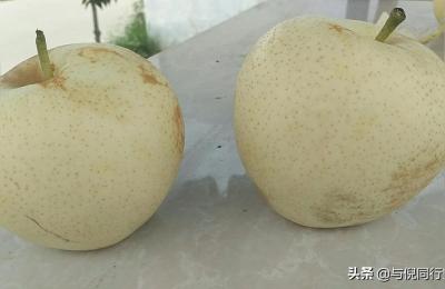 南召县板山坪镇牧原老板是河南南阳哪里,楚长城是最早的长城吗