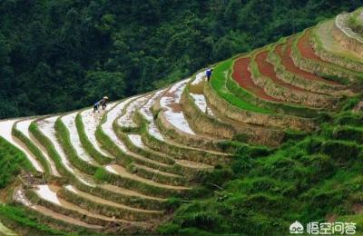 龙脊梯田旅游,龙脊梯田什么时候去