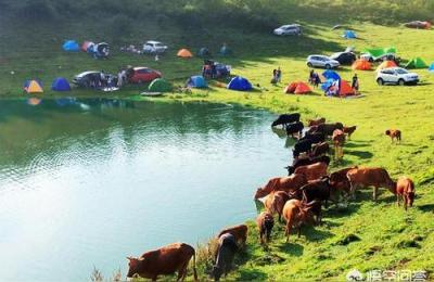 跪求重庆仙女山芙蓉洞及周边景点等旅游攻略,5个景点不要门票
