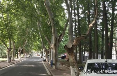 南京水务集团,水务集团是什么编制