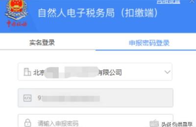 自然人申报系统,自然人电子税务局