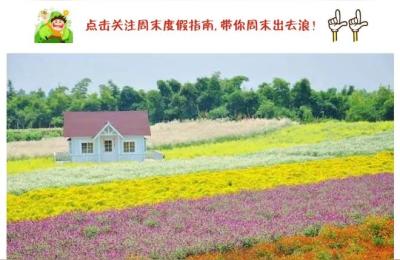 佛山禅城区自驾车到南沙海鲜市场营业时间,公交线路推荐