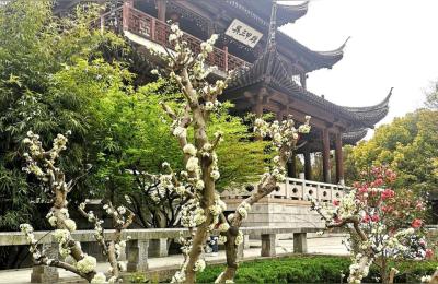 苏州盘门景区,求苏州市吴江区免费好玩的地方