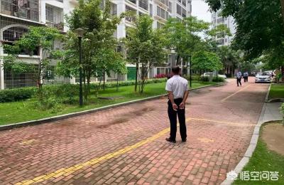 土方车于斑马线上碾死妙龄女子,厦门一男子无证驾驶被追尾