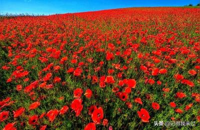 神龙潭和铜源峡哪个更好玩,旅行菌不请自来