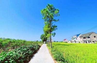 核酸检测注意事项,取消全员核酸检测和查验后