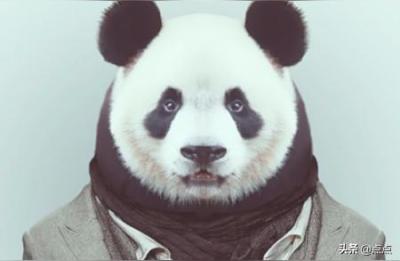 如何拍证件照,如何拍出好看的证件照