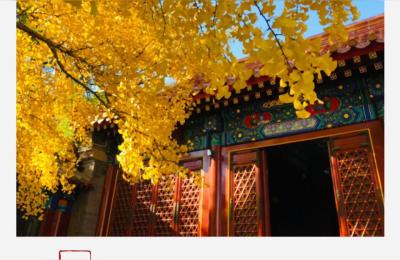 去北京八大处公园如何坐公交车,如何去乘公交车