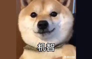 海口的天气适合北方人去康养吗,适合北方人去康养吗