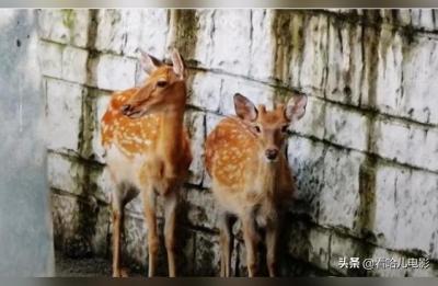 温江水上乐园,成都附近水上乐园十大排名