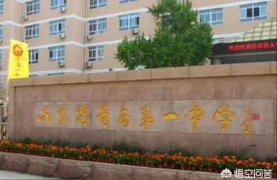 青岛一中网站,青岛一中占地面积