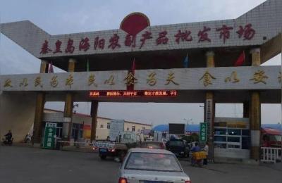 农贸批发市场,浙江农贸批发市场排名