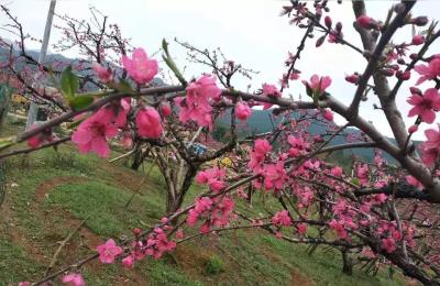 郴州莽山国家森林公园,郴州大莽山主要景点