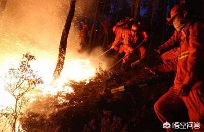 四川凉山大火,凉山大火确认为雷击火