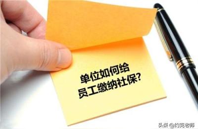 单位社保办理流程,单位社保申报流程