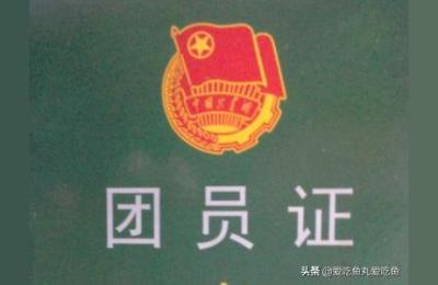 团组织关系转接,团组织关系怎么转入单位