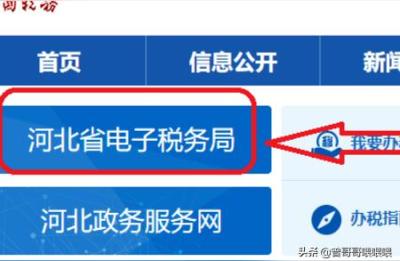 国家税务总局河北省电子税务局,保定新农合怎么网上缴费