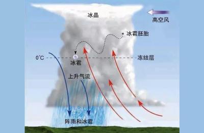 深圳市气象台,深圳全年天气怎么样