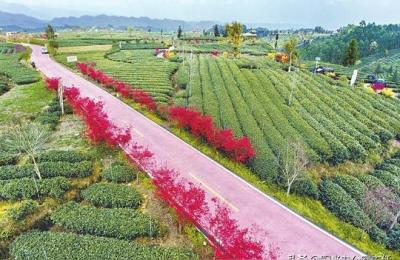空气质量与水质四川雅安有哪些好玩的城市,四川雅安有哪些好玩的地方