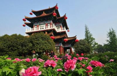 河南洛阳天气预报,最好最准的天气预报软件是什么软件