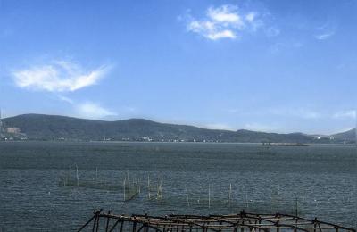 固城湖大闸蟹,江苏大闸蟹产地排名