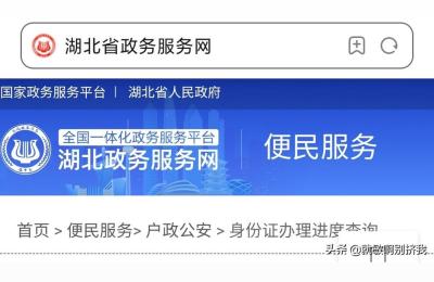 湖北行政服务网,湖北营业执照网上申请入口