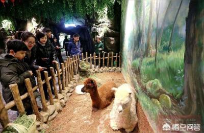 开一家室内儿童乐园大概需要多少投资,投资室内亲子乐园就能赚钱吗