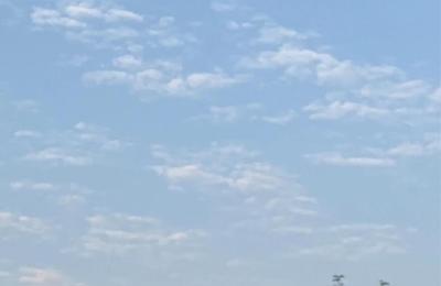 广州教育局官网,基层认定副高级教师职称初审通过