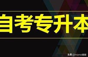 专升本报名系统,专升本可以自己联系学校吗