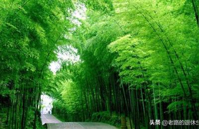 吴昌硕纪念馆,浙江嘉兴出发的二日游线路求推荐