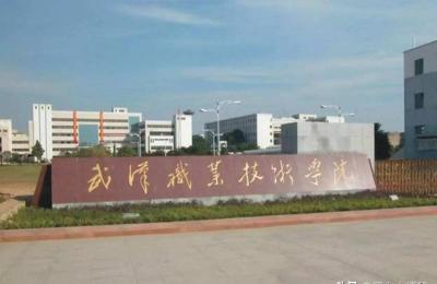 武汉市职业技术学院,武汉职业技术学院南校区在哪