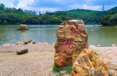 从仙湖植物园上梧桐山要门票吗,梧桐山要门票了吗