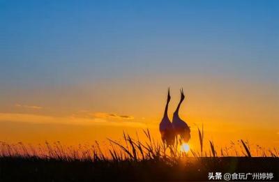 中国十大魅力湿地,杭州5a景区