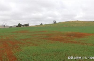 黑龙江延寿县,哈尔滨回延寿县可以吗