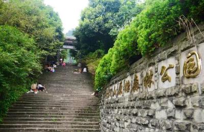 重庆森林公园,重庆圣灯山森林公园在哪里