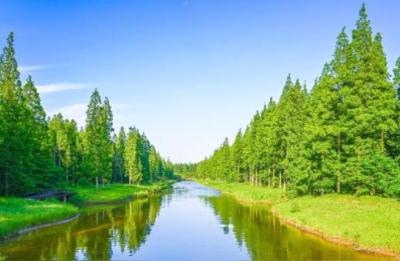 黄海国家森林公园,黄海森林公园附近哪里可以看日出