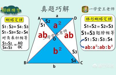 华东师范大学附属小学有哪些对口的小区,2021年德州小升初学区划分