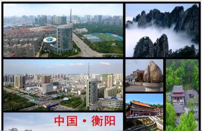 衡阳市珠晖区,衡阳珠珲区高铁新城板块有无发展潜力